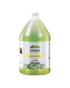 MMR Mold Stain Remover